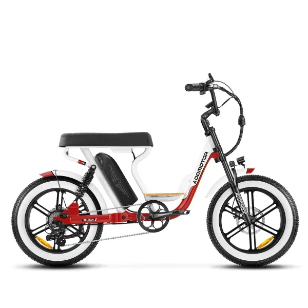 AddMotor Soletan M-66X electric bike
