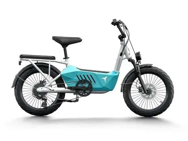 Himiway C3 / Cargo Ebike electric bike