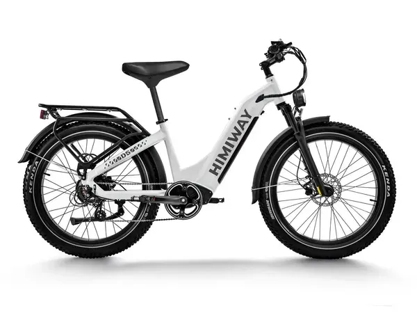 Himiway D5 ST(Zebra ST) / All-terrain Electric Fat Bike electric bike