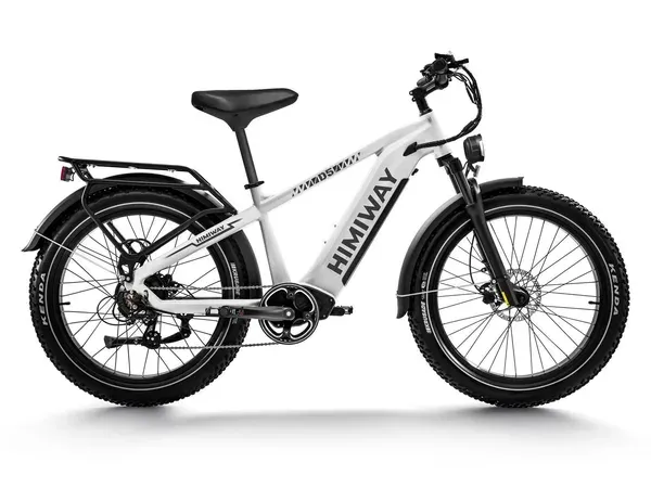 Himiway D5(Zebra) / All-terrain Electric Fat Bike electric bike