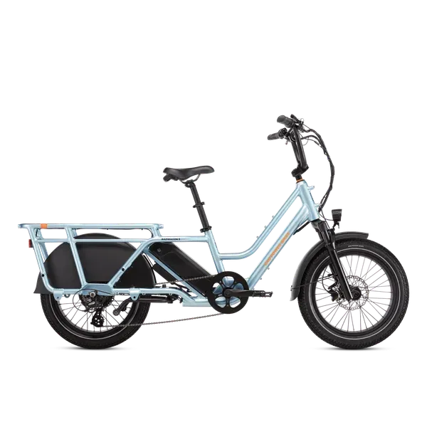 Rad Power Bikes RadWagon 5 Electric Cargo Bike electric bike
