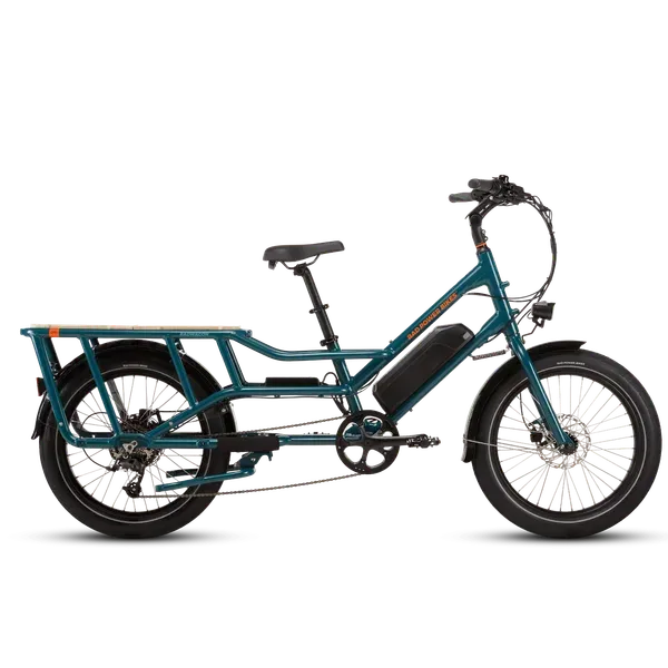 Rad Power Bikes RadWagon Electric Cargo Bike electric bike
